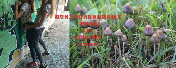 СК Заволжск