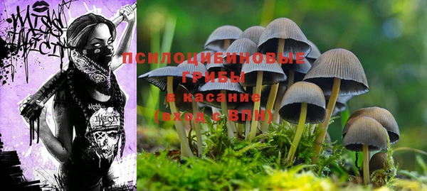 спайс Ельня