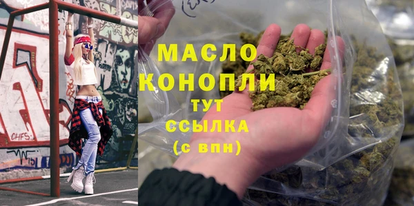 спайс Ельня