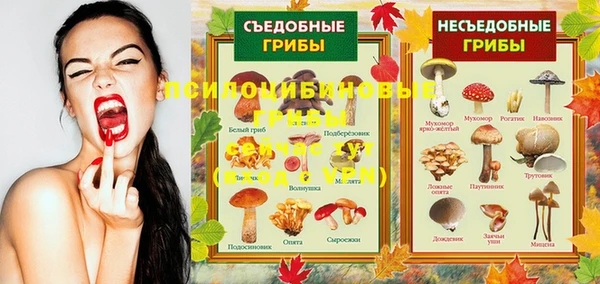 СК Фурманов