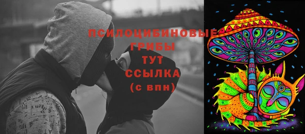 прущий лед Елабуга